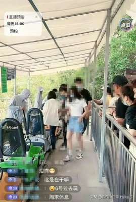 小三自拍下载-女子刷直播刷到老公和小三旅游约会，身份曝光，细节流出毁三观