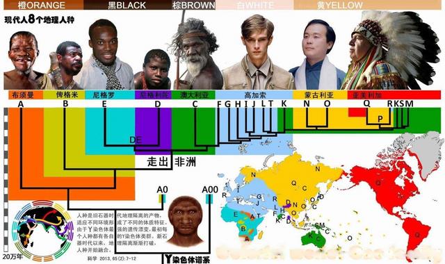 雄性交配、排尿器官合在一起,雌性却分开,为何有如此差异?