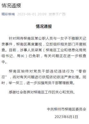 出轨的爱人第二季-局长与情人不雅聊天记录曝光，被免职