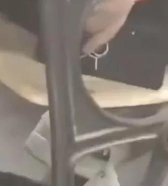 校园偷拍视频-桂林高校一男生上课偷拍女生，如此邪恶行为学校严肃处理，零容忍