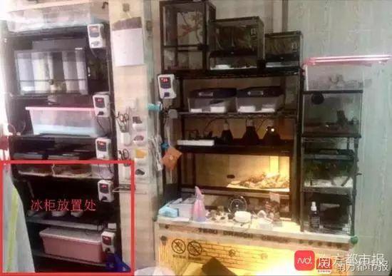 上海杀妻冰尸案始末:婚内频出轨、假冒亡妻,991天后终获死刑