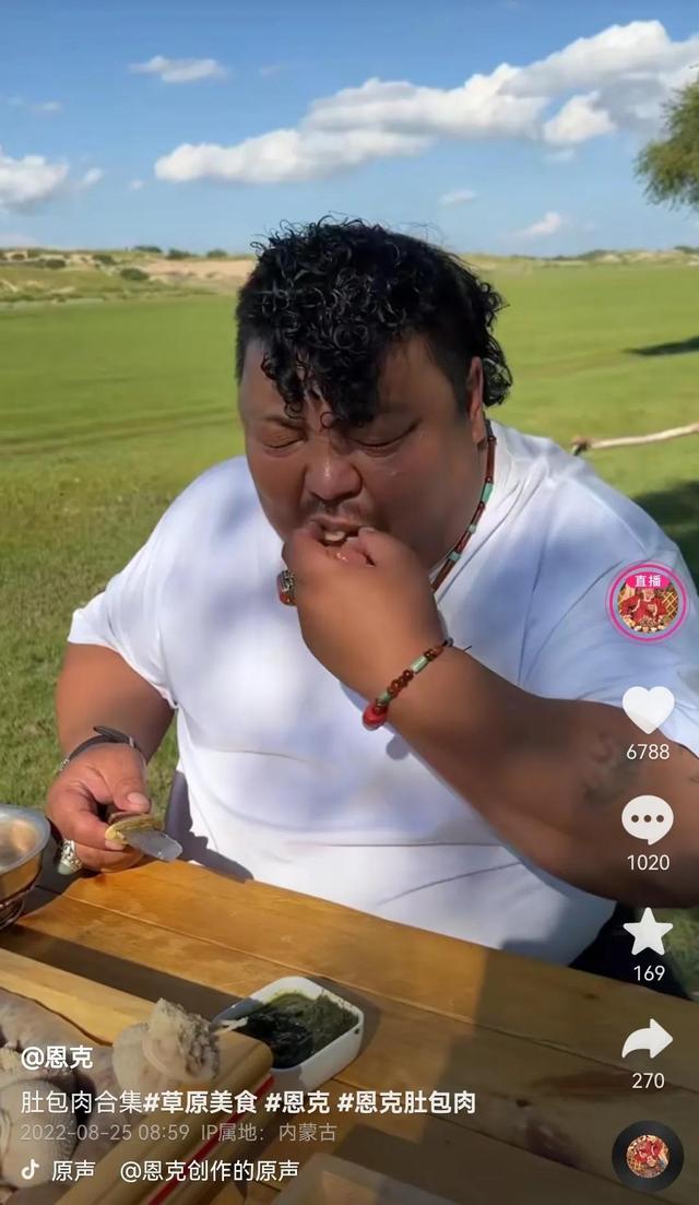 网红(恩克)肚包肉和肉肠实测