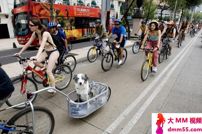 光猪单车队
