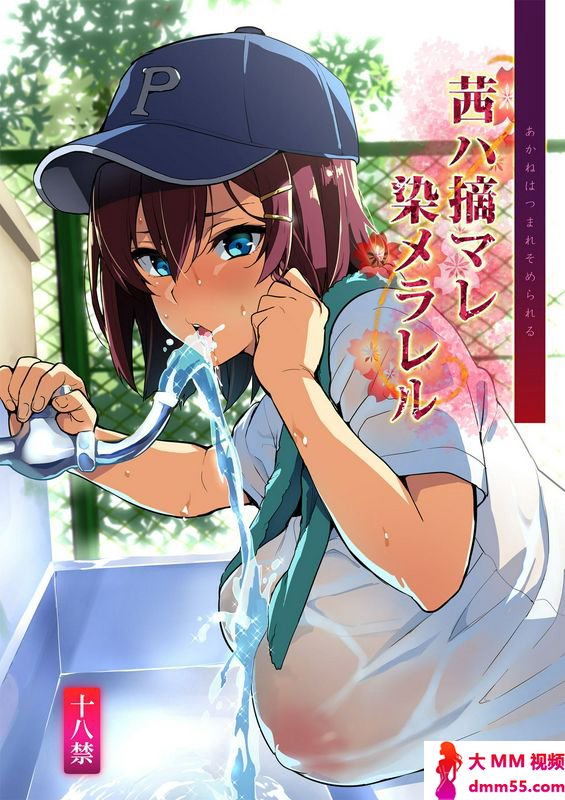 真珠贝武田弘光茜ハ摘