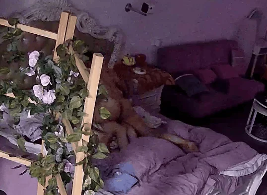 上帝视角真实欣赏数对男女开房激情造爱~等了三天极品妹终于等到你被肏了