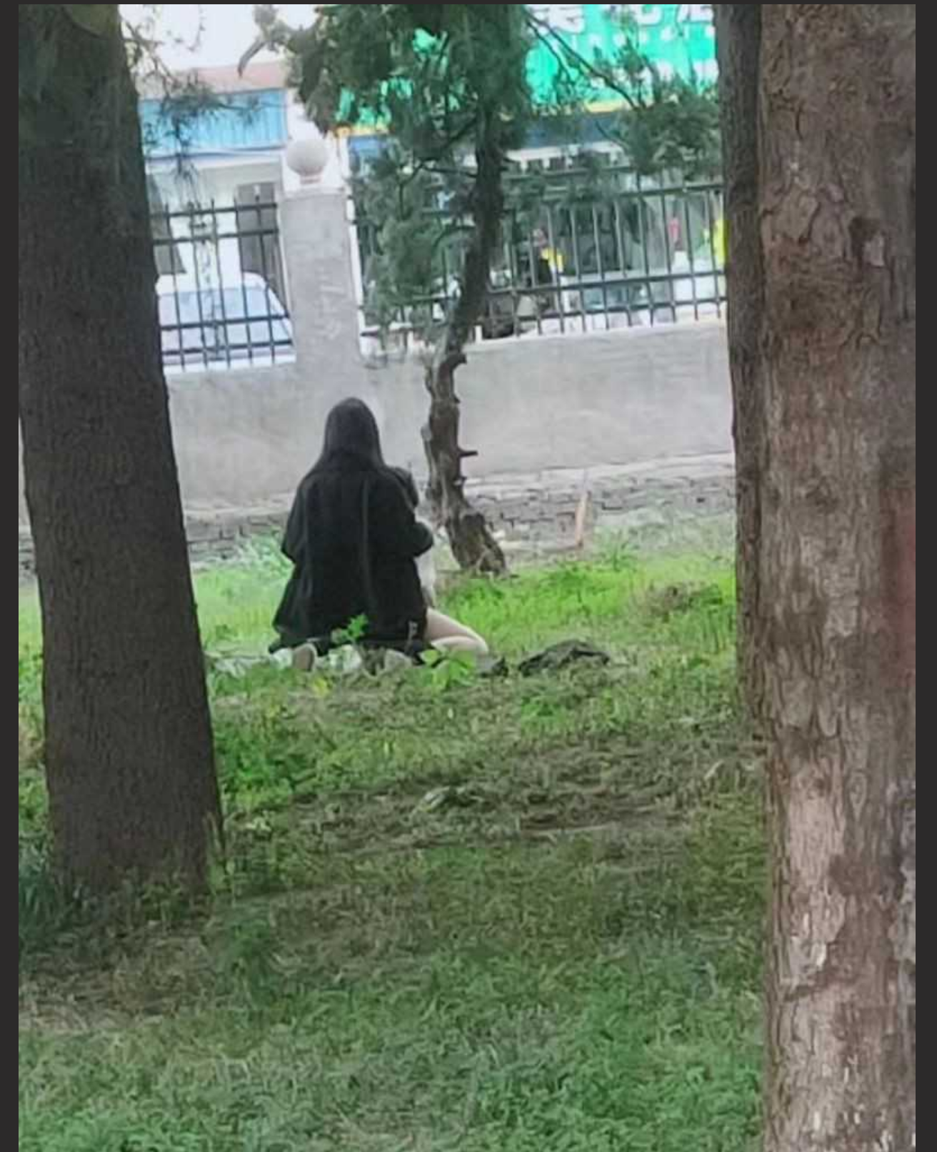 职业技术学院大学生是真会玩啊! 绿草坪户外做爱激情满满!