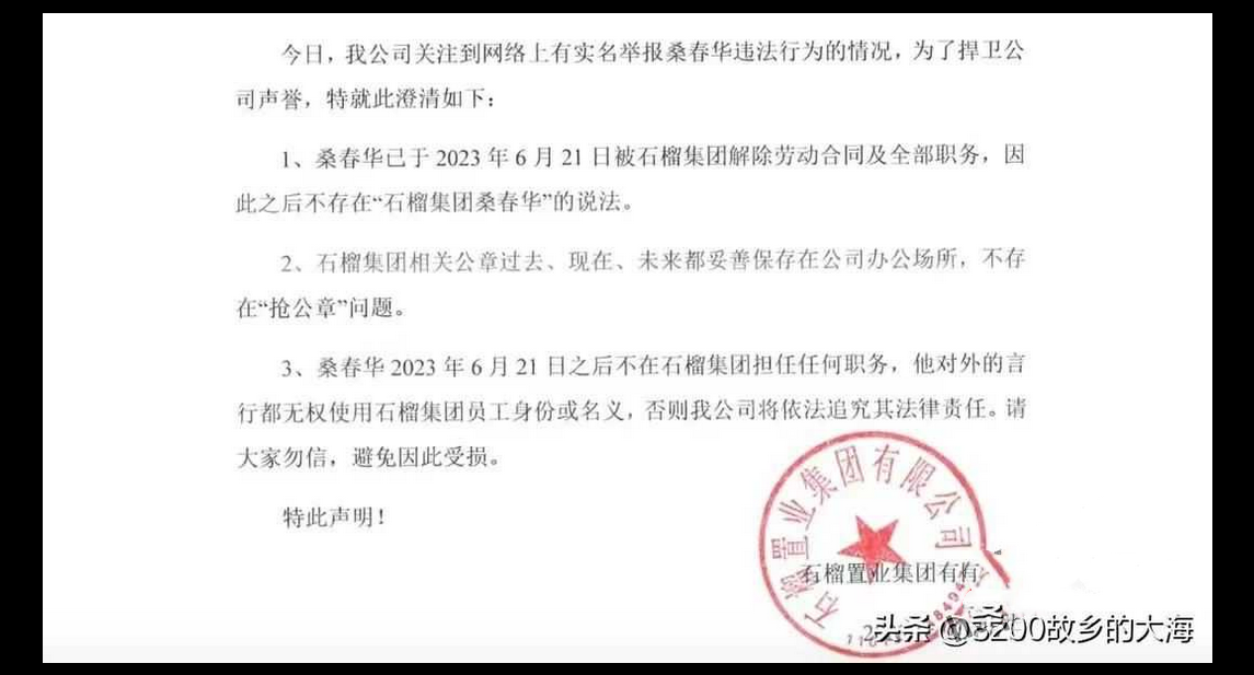 云核变量集团CEO「刘夏」举报石榴集团「桑春华」邀请其4P 并被网友扒出她曾经为业绩4P视频！
