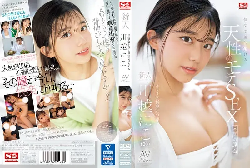 2024上半年热门AV  TOP10
