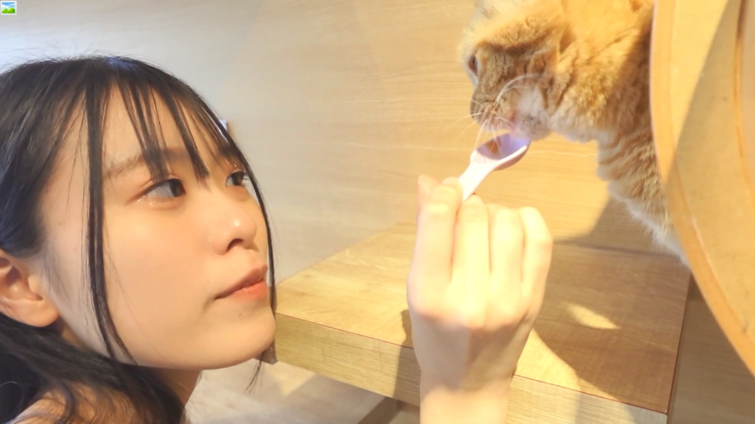 ✅最新流出FC2-PPV无修正系列✅知性娇羞温柔美女小姐姐援交✅阴毛性感花心红润✅无套中出内射2回